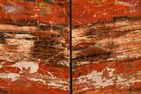 Tall, Arizona Petrified Wood Bookends - Brick Red #307171-1